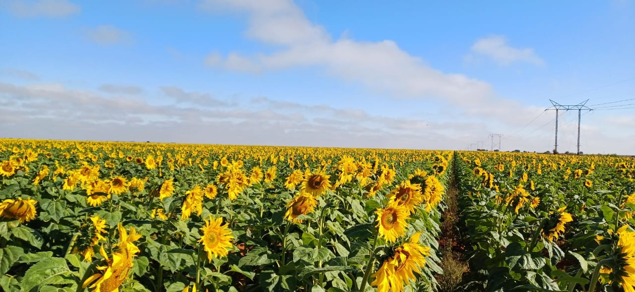 WhatsApp Image 2024-08-05 at 09.10.02